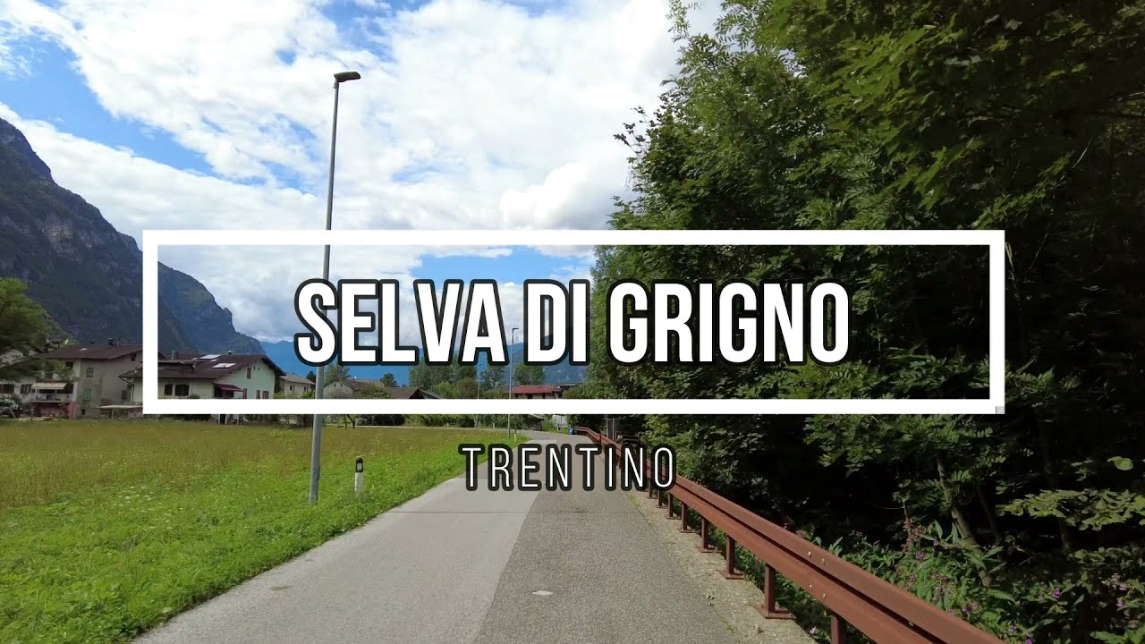 Selva di Grigno