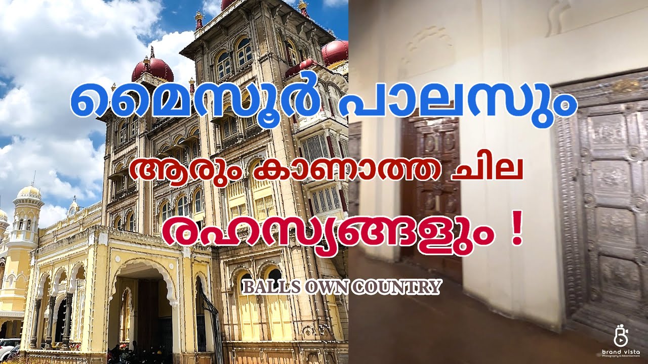 മൈസൂർ പാലസിൽ ദസറക്ക് മാത്രം കാണാൻ സാധിക്കുന്ന ചില അപൂർവ്വ കാഴ്ചകൾ DASARA | KARNATAKA | MYSORE PALACE