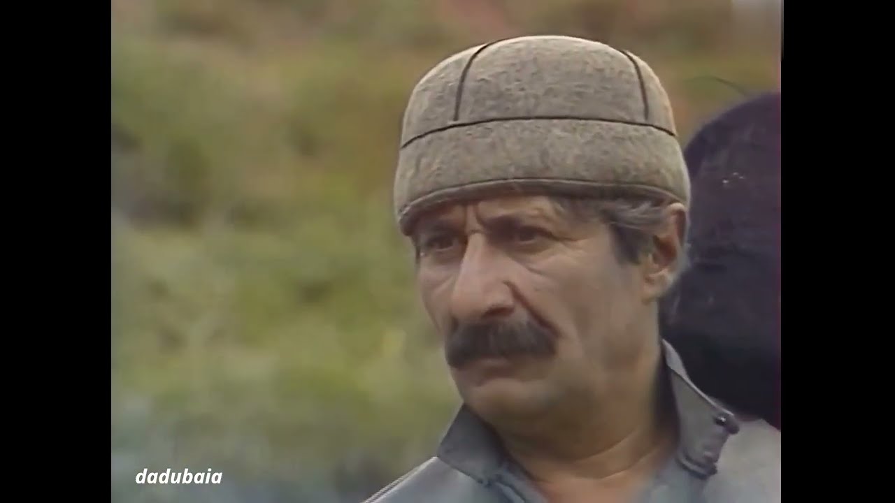 მტრედის მოტანილი ბარათები / Mtredis Motanili Baratebi