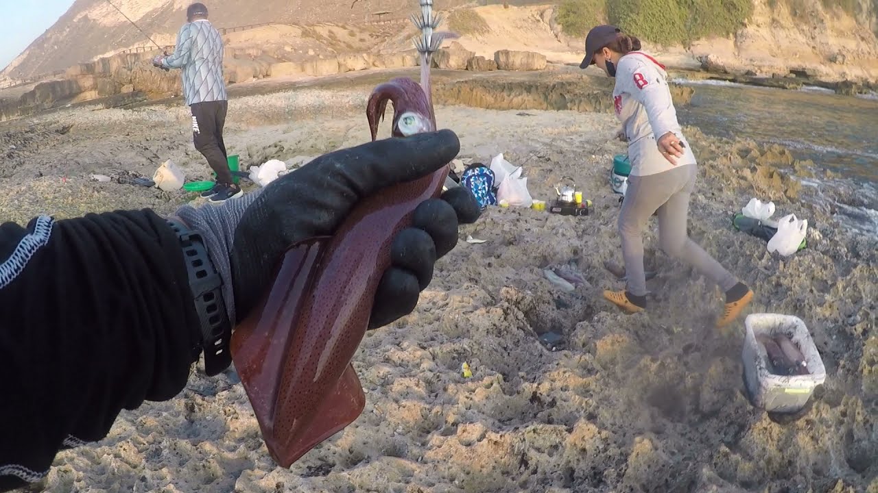 Hunt for Squid: #Salalah #Oman