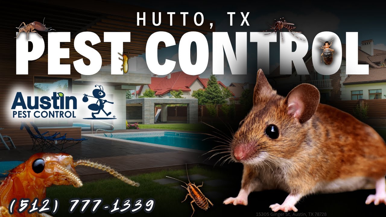 Hutto, TX Pest Control Service (512) 777-1339 - Austin Pest Control
