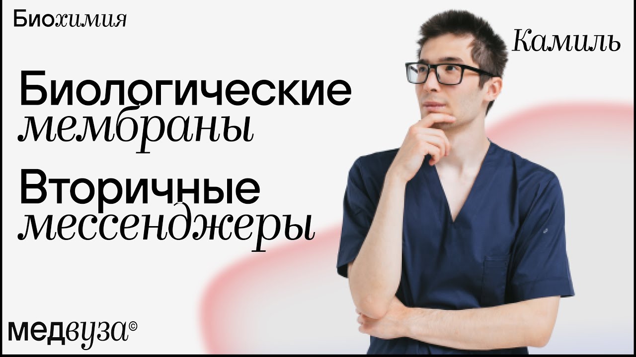 Биологические мембраны и вторичные менеджеры | Биохимия