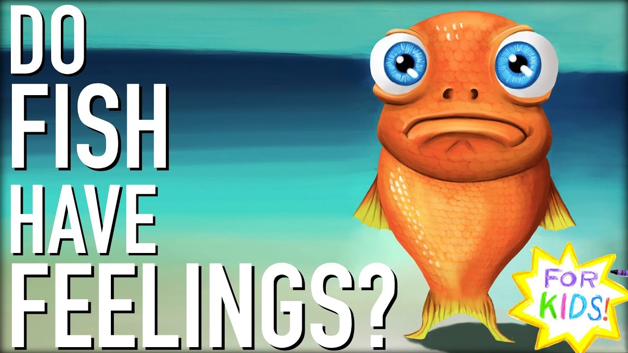 Do Fish Have FEELINGS?