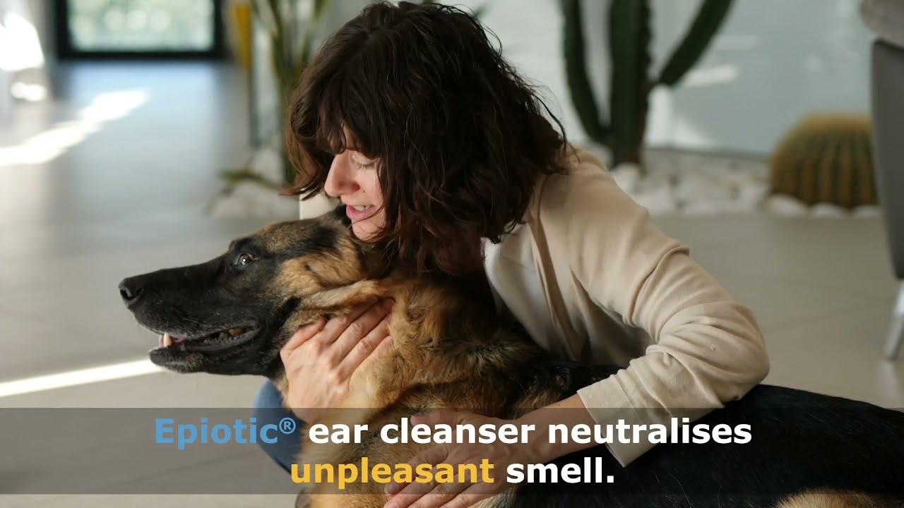 Advanced ear health maintenance for dogs and cats
