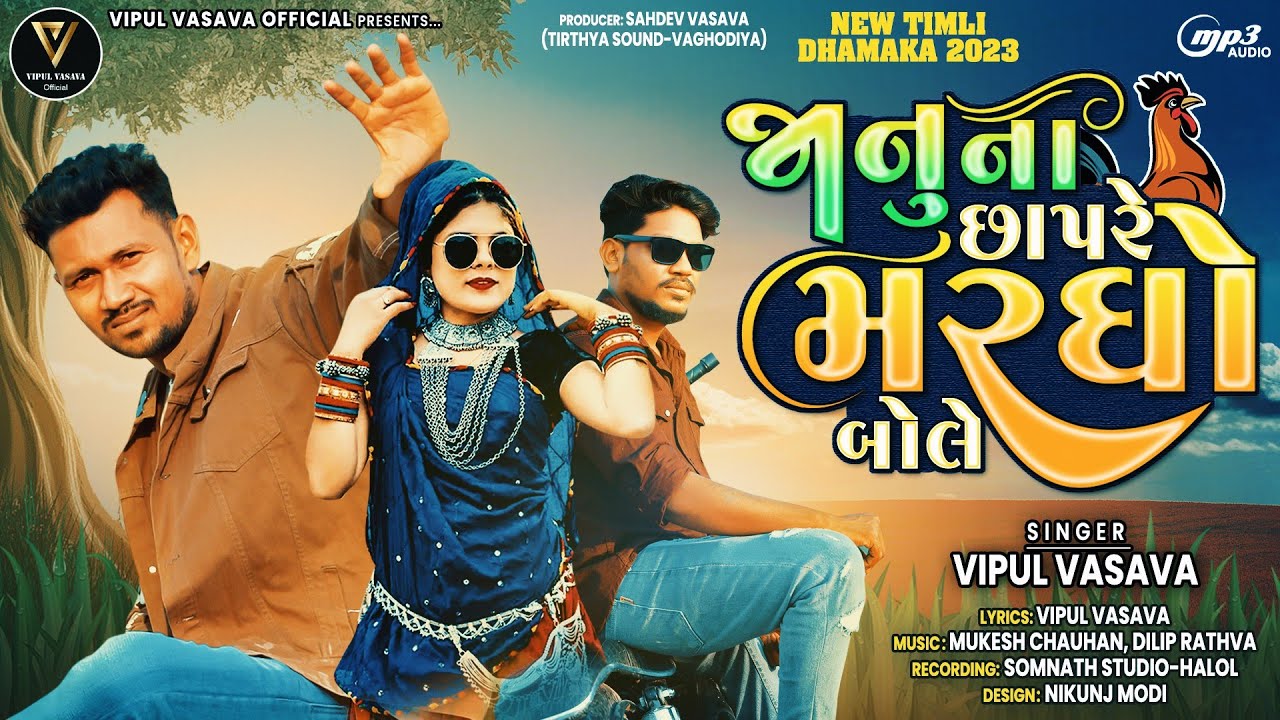 janu na chapre margho bole || vipul vasava || new timli 2023 || letest dj timli
