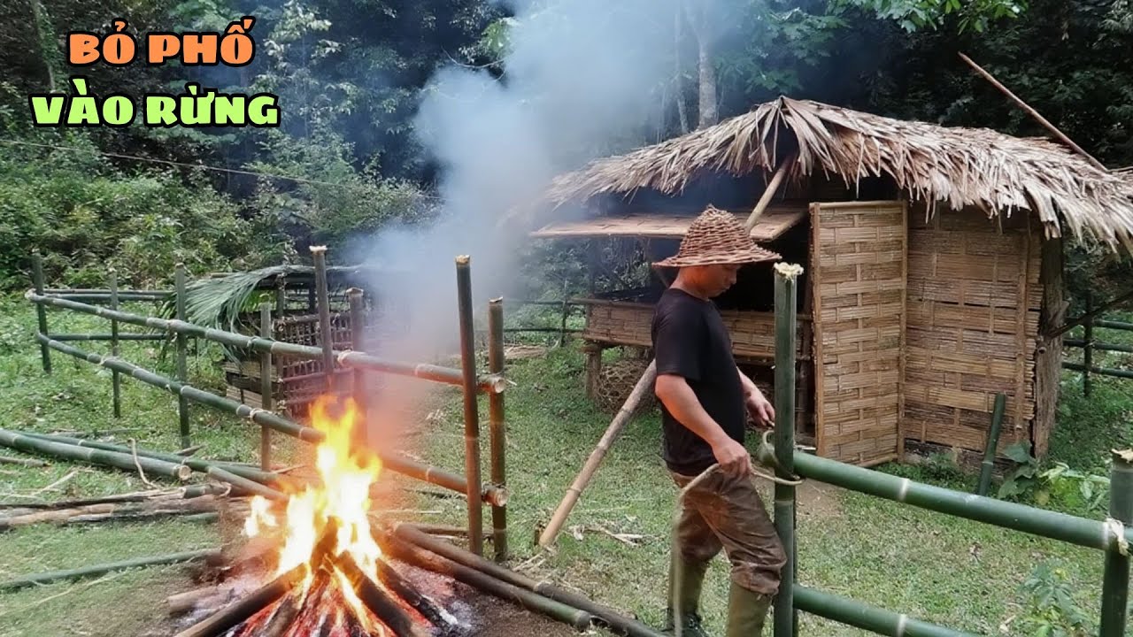 Sinh Tồn Trong Rừng Việt Nam - Bẫy Chuột và Bắt Ong