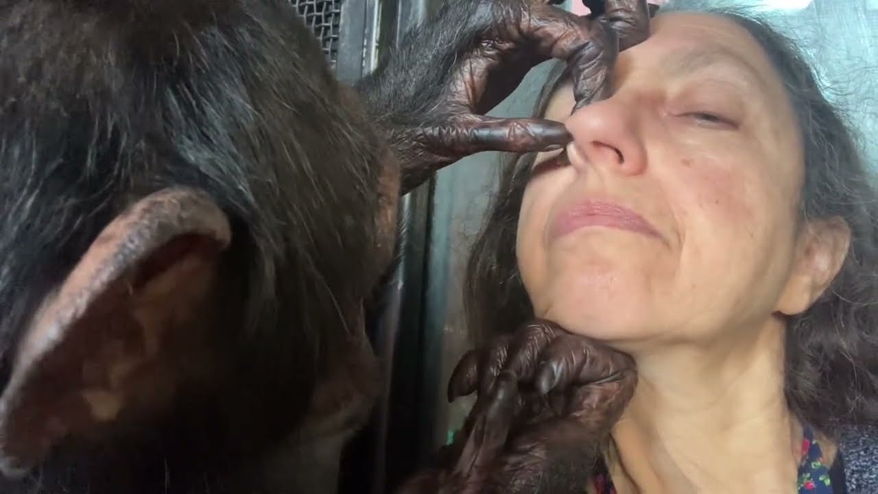 Bow Grooms My Eyes & Nose