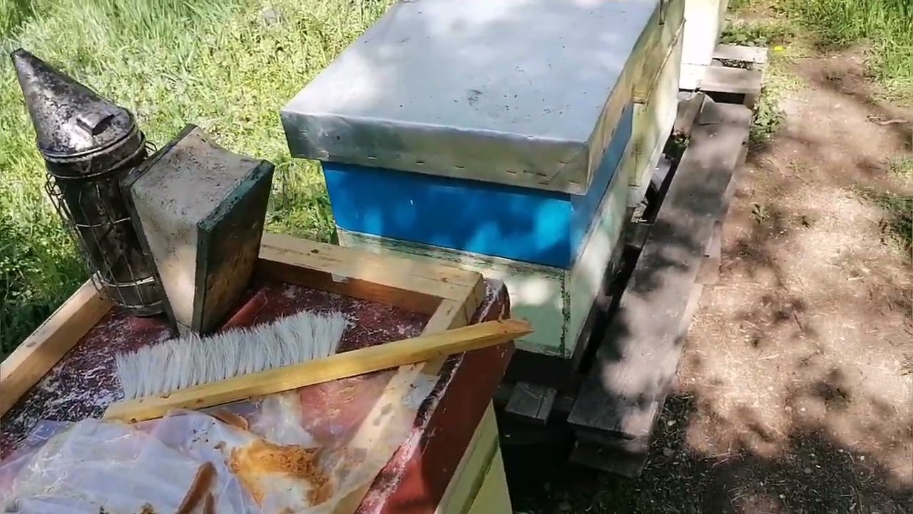 Proizvodnja matica, korak po korak, IV deo