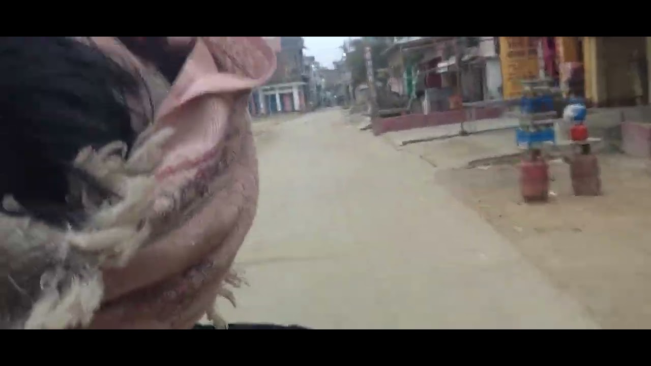 My first vlogs/ kanhouli bajar new vlogs (कन्हौली बाजार न्यू ब्लॉक) 