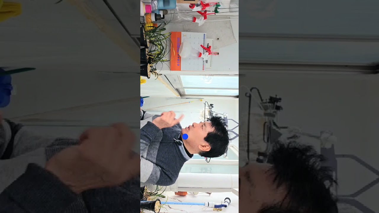 2월달 난관리