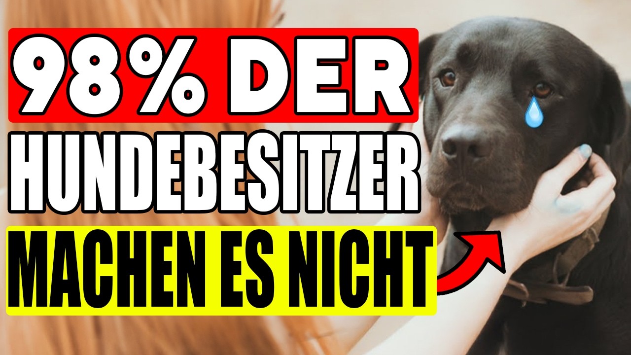 15 Dinge, DIE Hunde LIEBEN – aber 98 % DER BESITZER MACHEN ES NICHT!