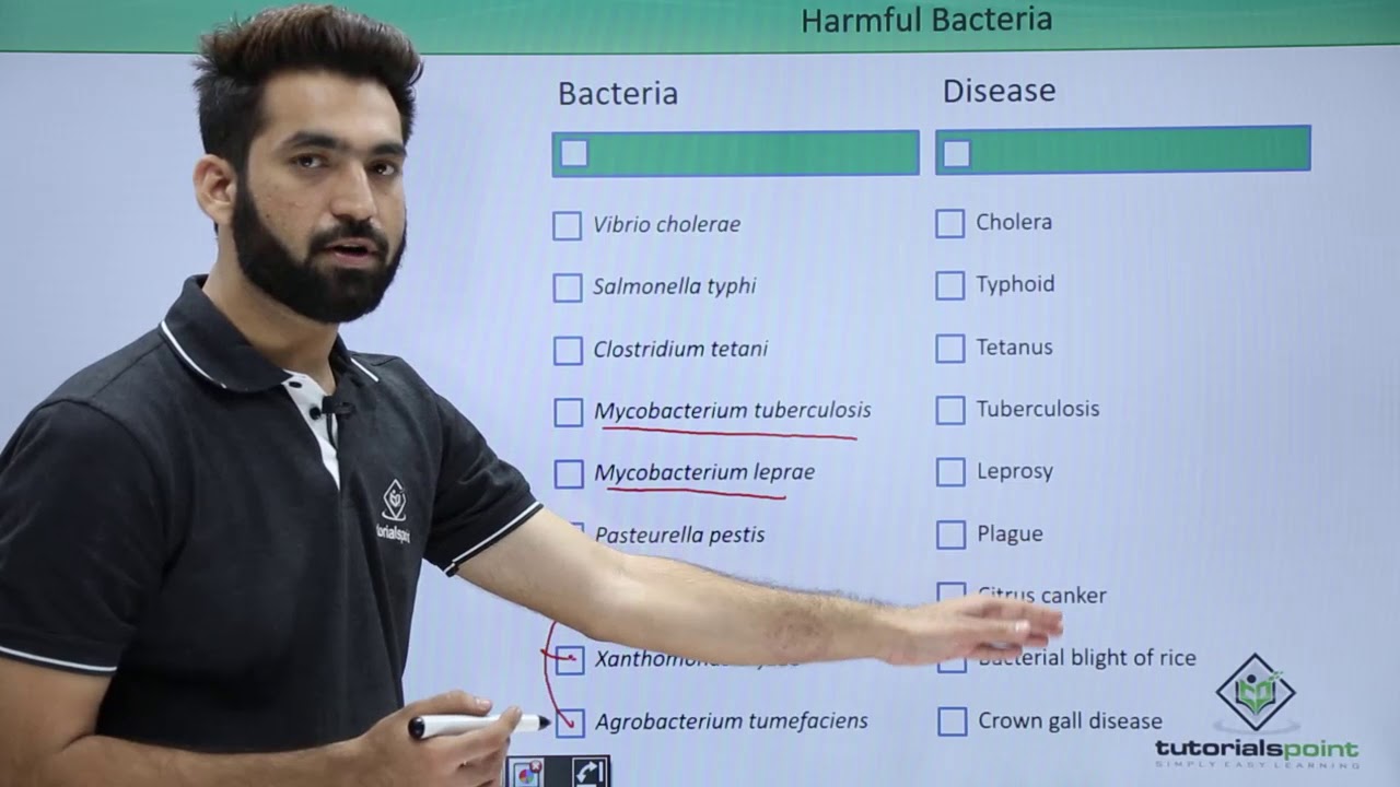 Class 11th &ndash; Harmful Bacteria | Biological Classification | Tutorials Point