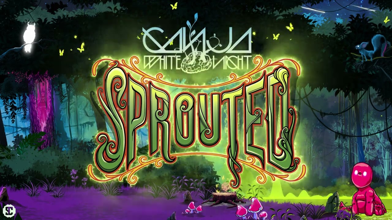 Ganja White Night x Peekaboo x P Money - No Room | Official Visualizer