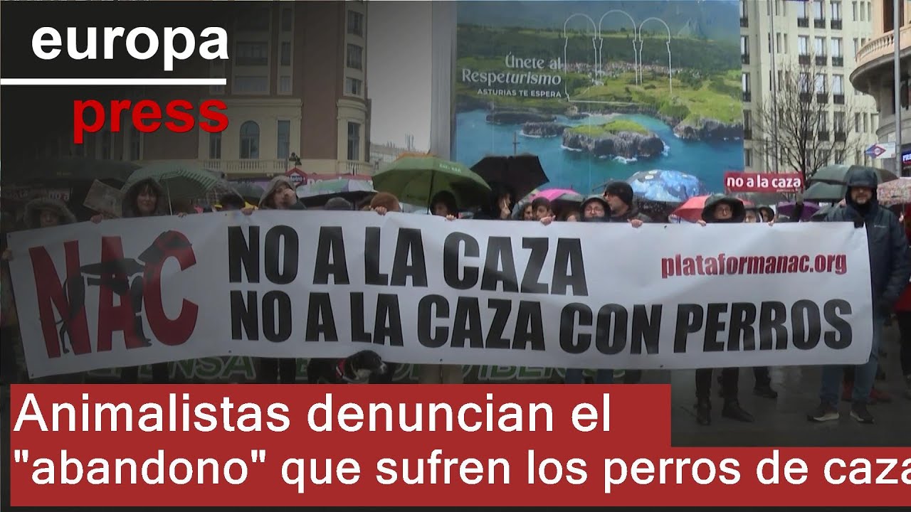 Animalistas denuncian el 