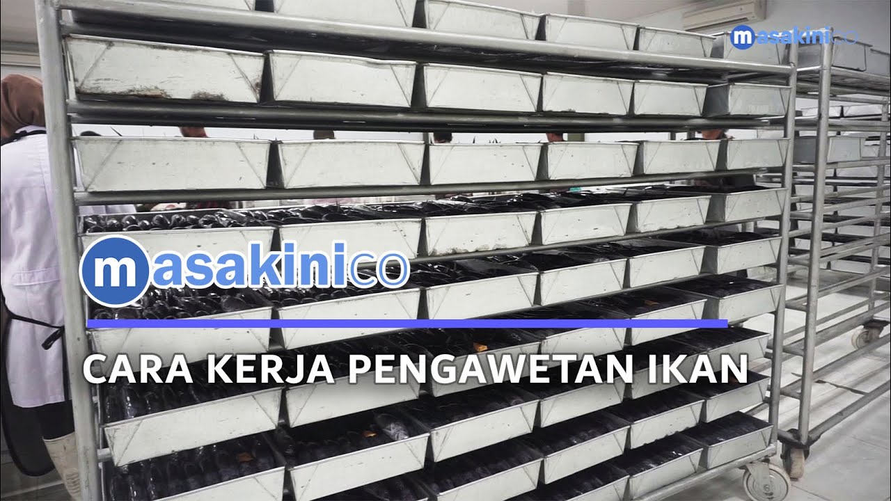 Cara Kerja Pengawetan Ikan | Masakini.co