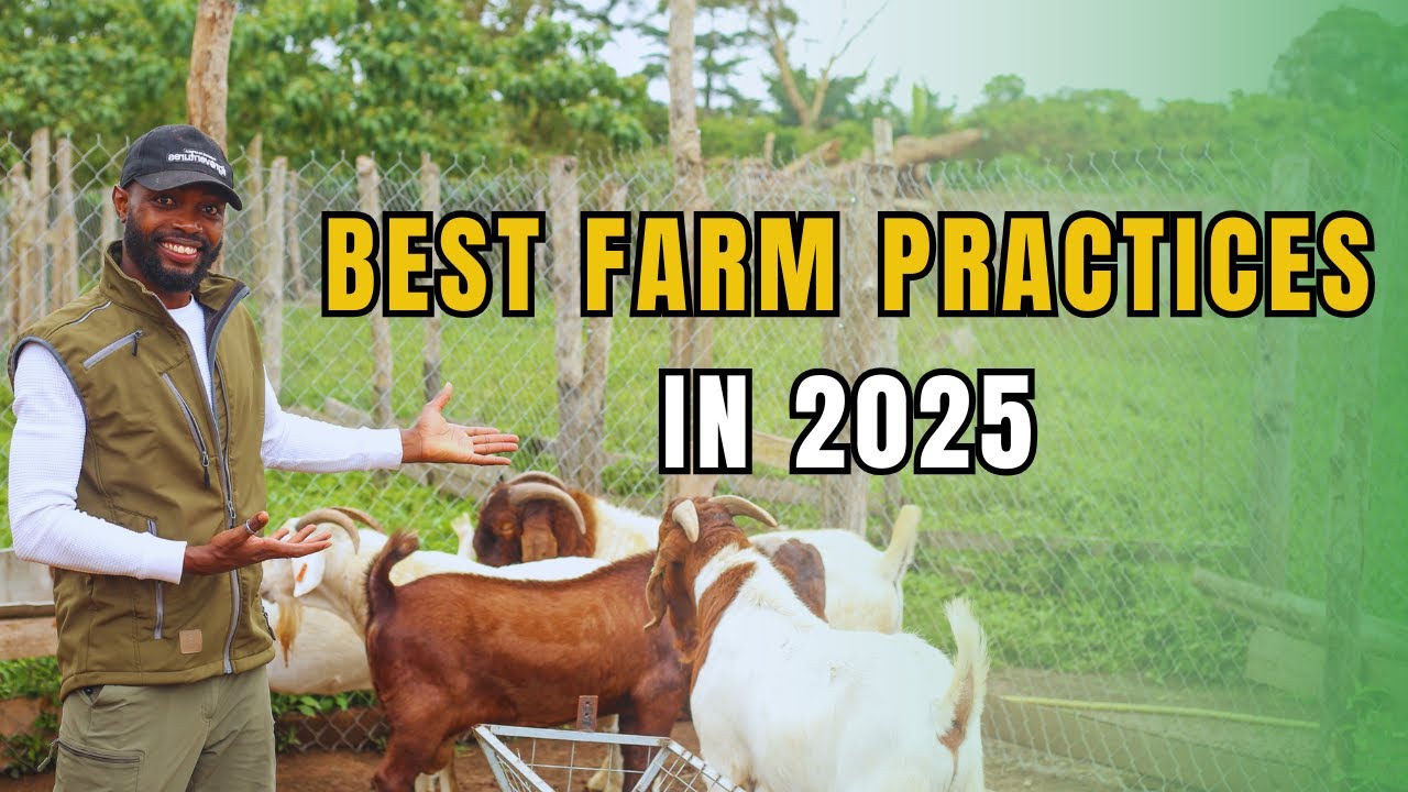 DO THESE 5 THINGS TO SUCCEED AS A LIVESTOCK FARMER IN 2025