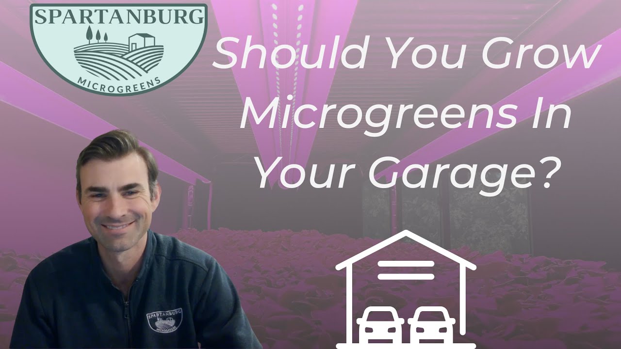 Turning a Garage Into a Microgreens Powerhouse: Spartanburg Microgreens