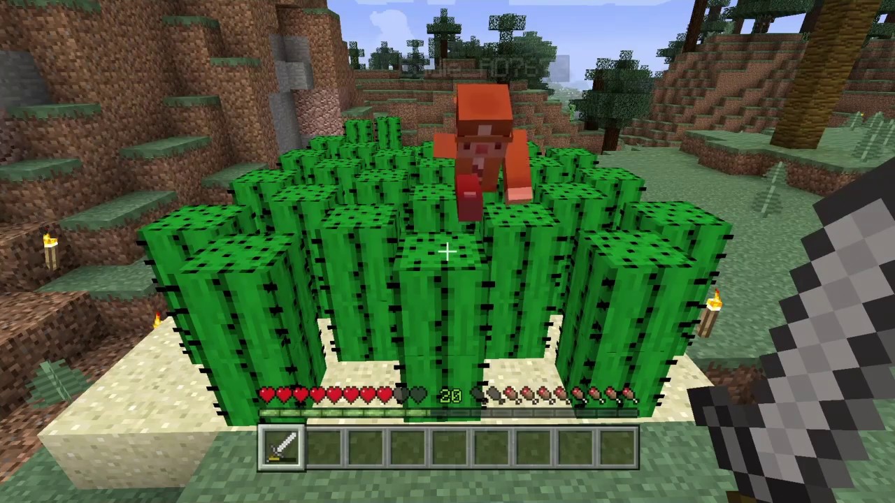 The Annual Olympic Cactus Walking Challenge | Minecraft