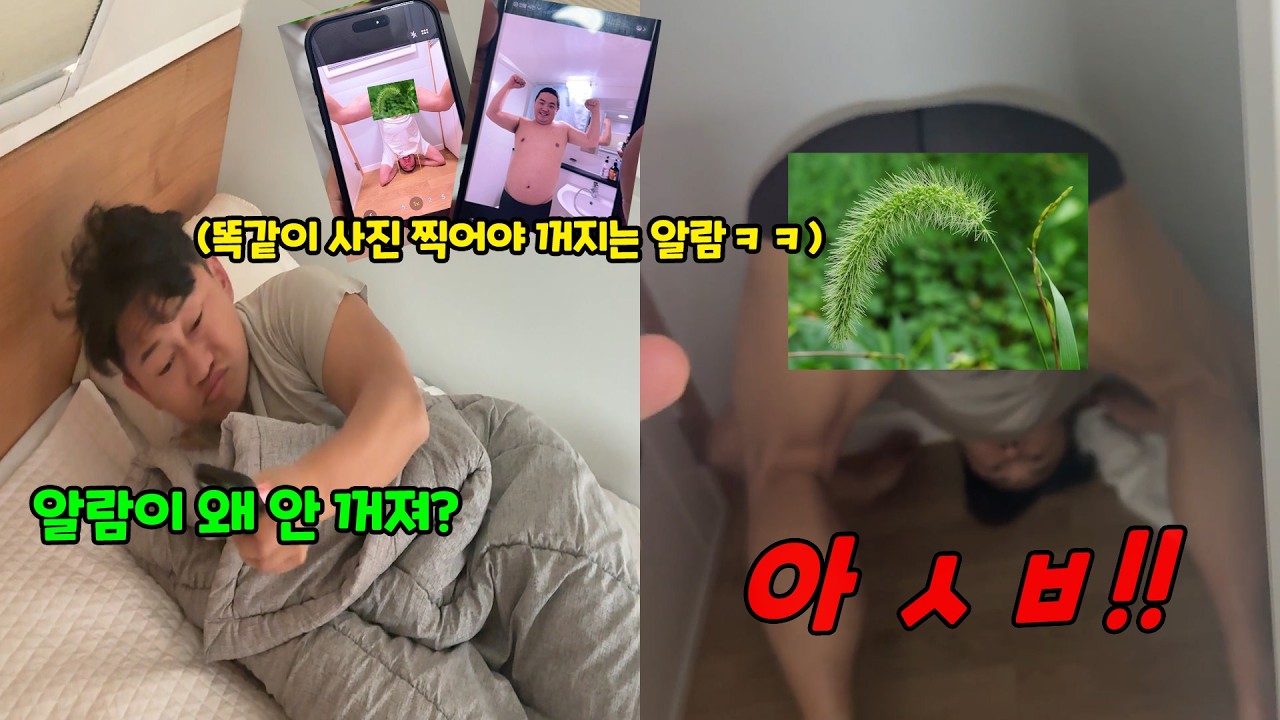 절대 못 푸는 알람으로 잠 깨우기ㅋㅋㅋ