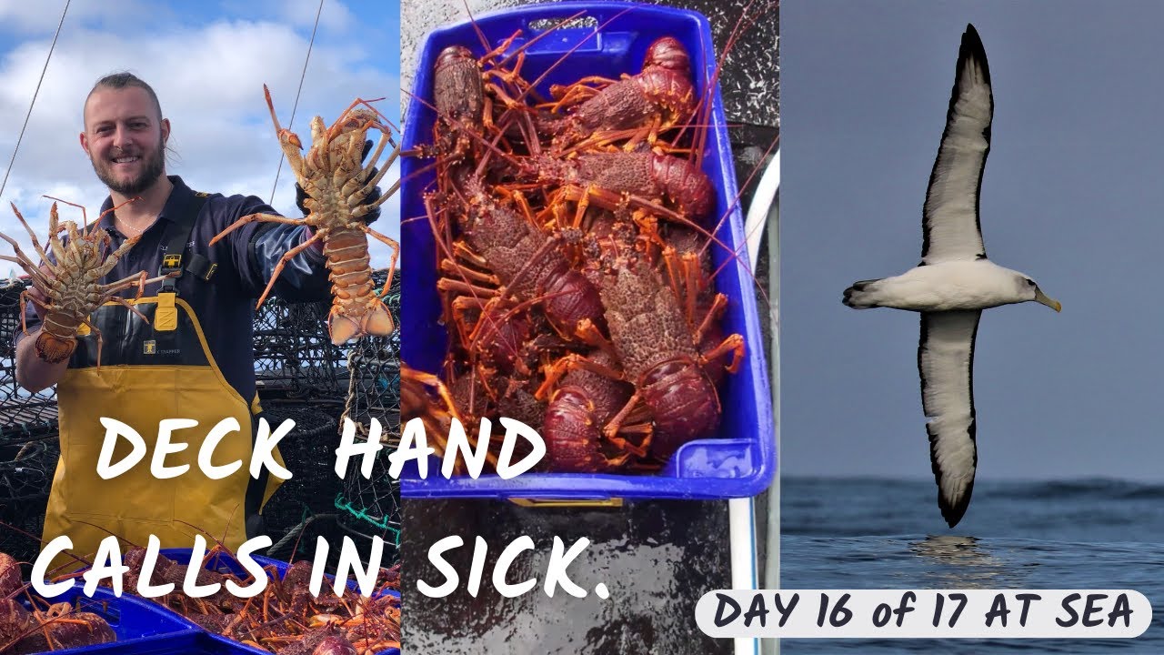 DAY 16 LOBSTER FISHING - Deck hand calls in sick?