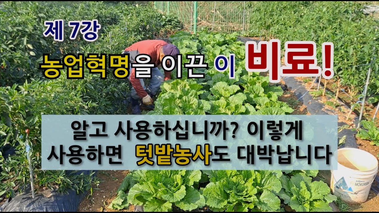 농업 혁명을 이룬 비료! 알고 사용하십니까 이렇게 사용하면 텃밭 농사도 대박 납니다.