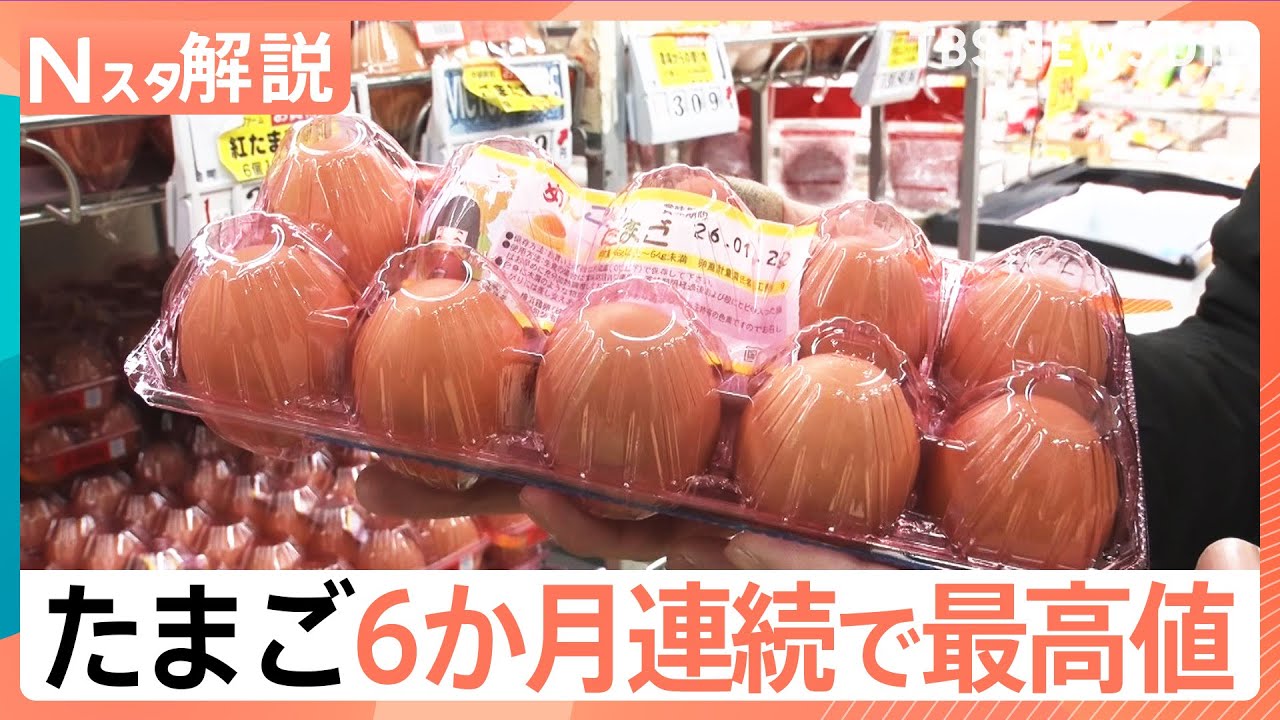 たまご 6か月連続で最高値を更新、スーパー担当者「上がってくる要素しかない、今が一番最安値」【Nスタ解説】｜TBS NEWS DIG