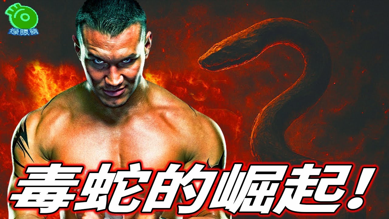 《毒蛇的崛起》Randy Orton的殘酷進化史！（2002-2007）