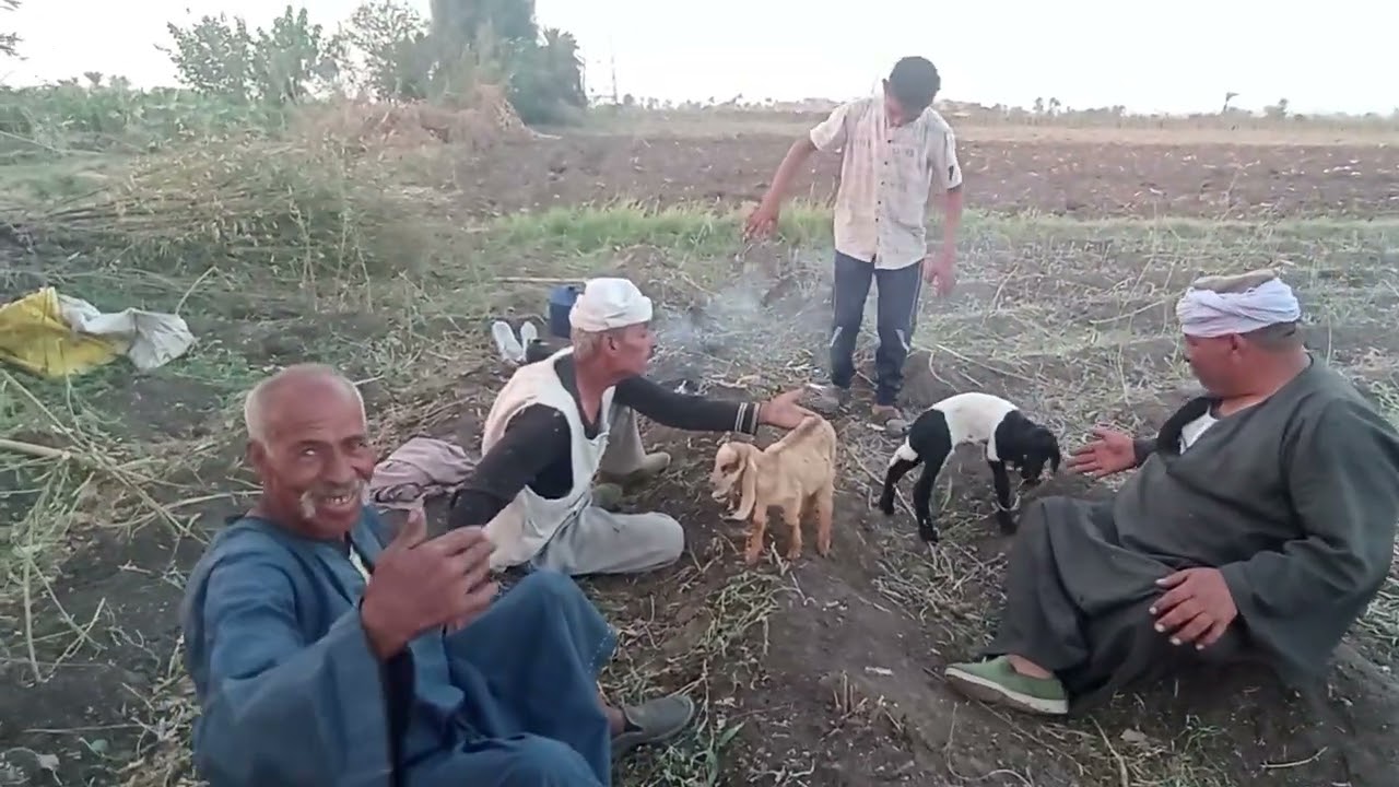 ٢٢ نوفمبر ٢٠٢٥