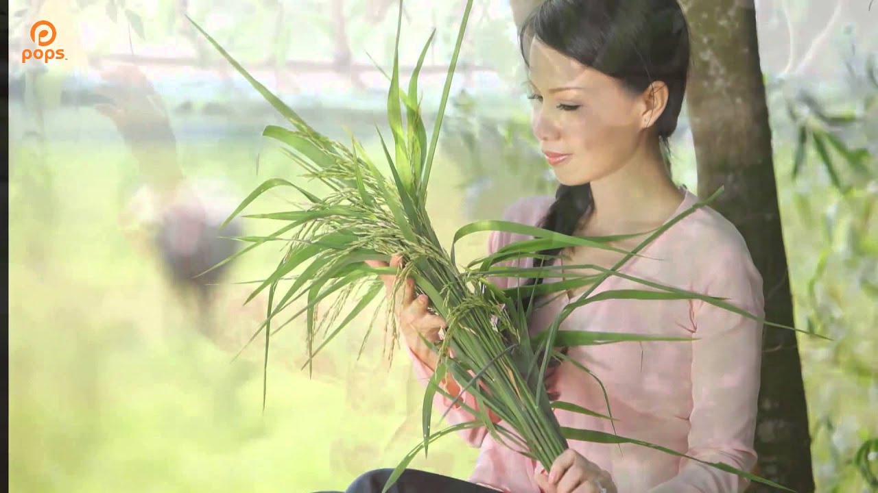 Chị Hai - Cẩm Ly [Official]