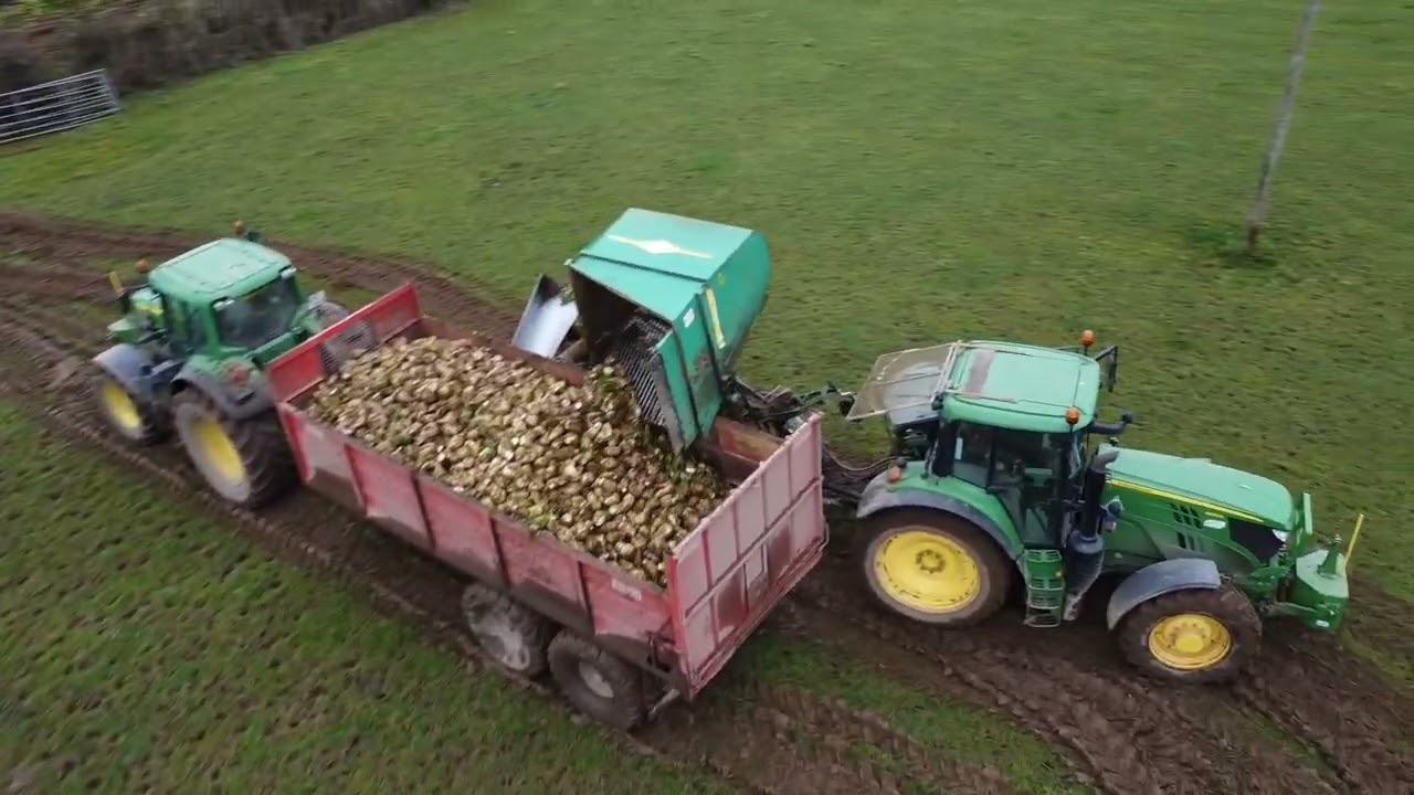WHYTE AGRI PULLING BEET 2023/HOLOHAN AGRI VIDEOS/BEET 2023