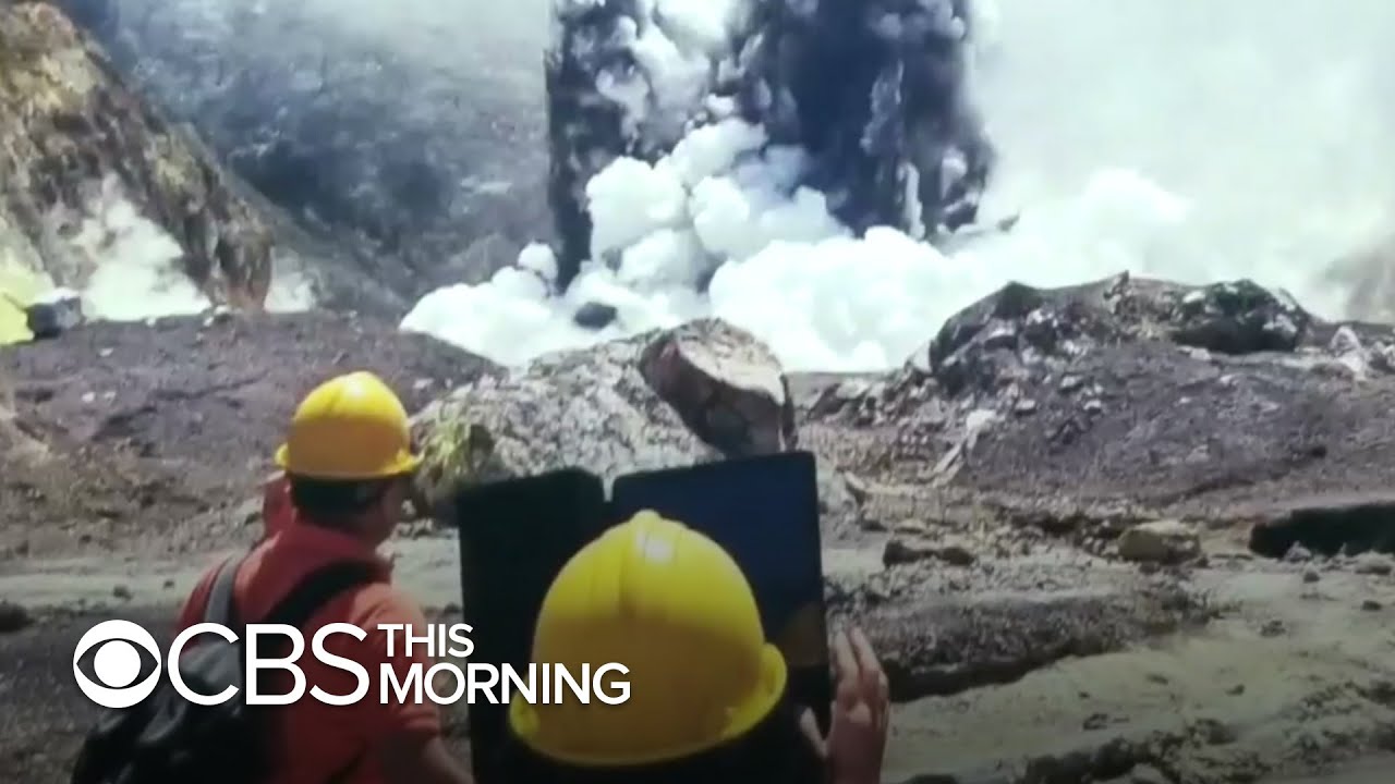 White Island volcano survivors sue Royal Caribbean and New Zealand tour company