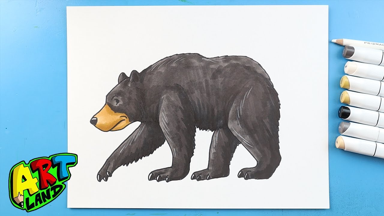 How to Draw a Black Bear