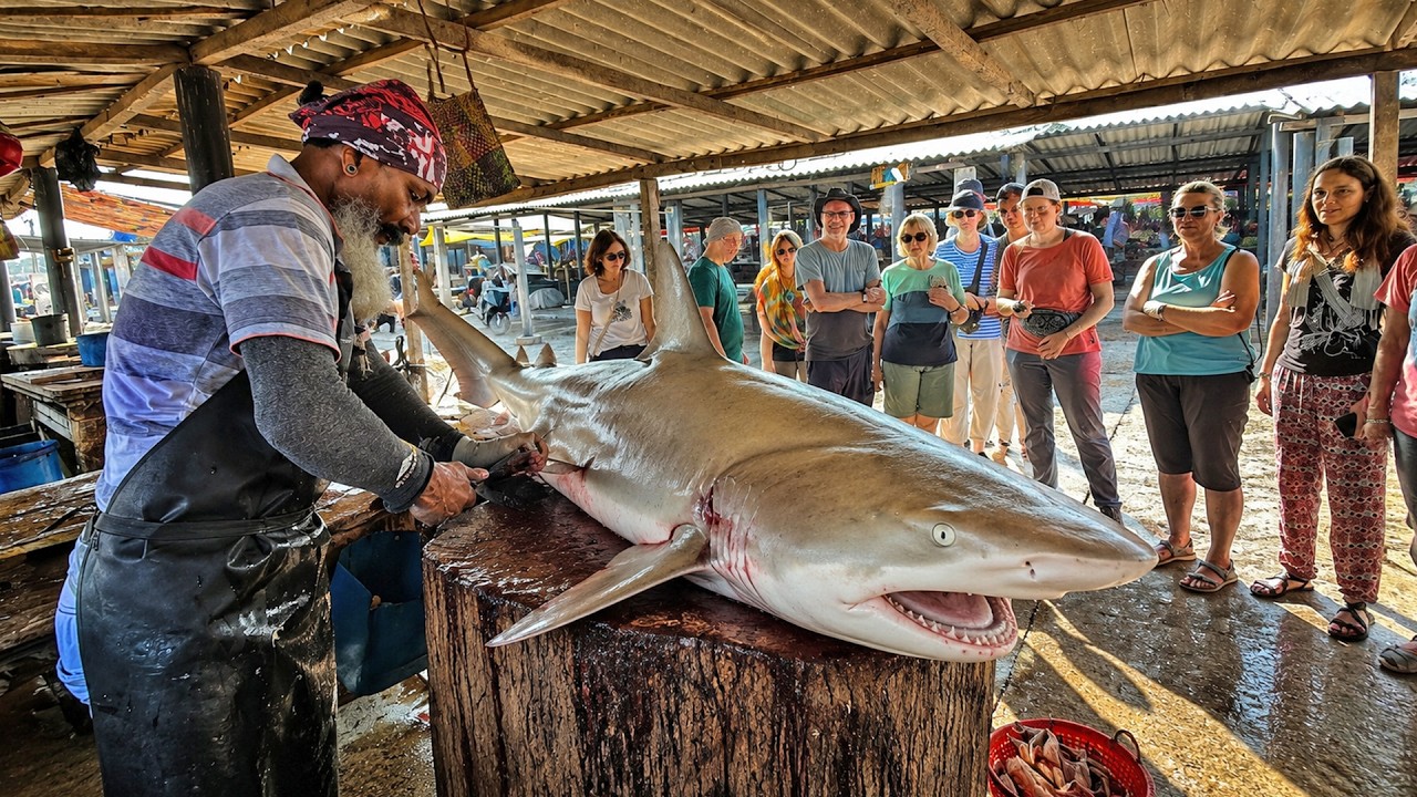Tourists Shocked by Giant Shark Cutting | Master Shifu Fish Market Skills