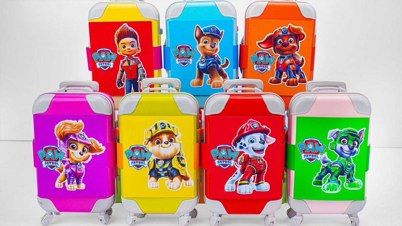 Unboxing Boxes of Paw Patrol Toys Collection 🎁 ASMR Review Random Toys