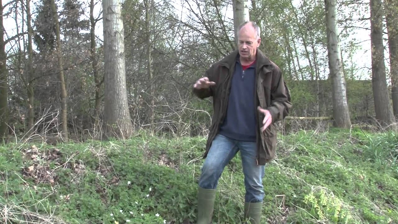 De Slanke Sleutelbloem, een zeldzame voorjaarsbloeier