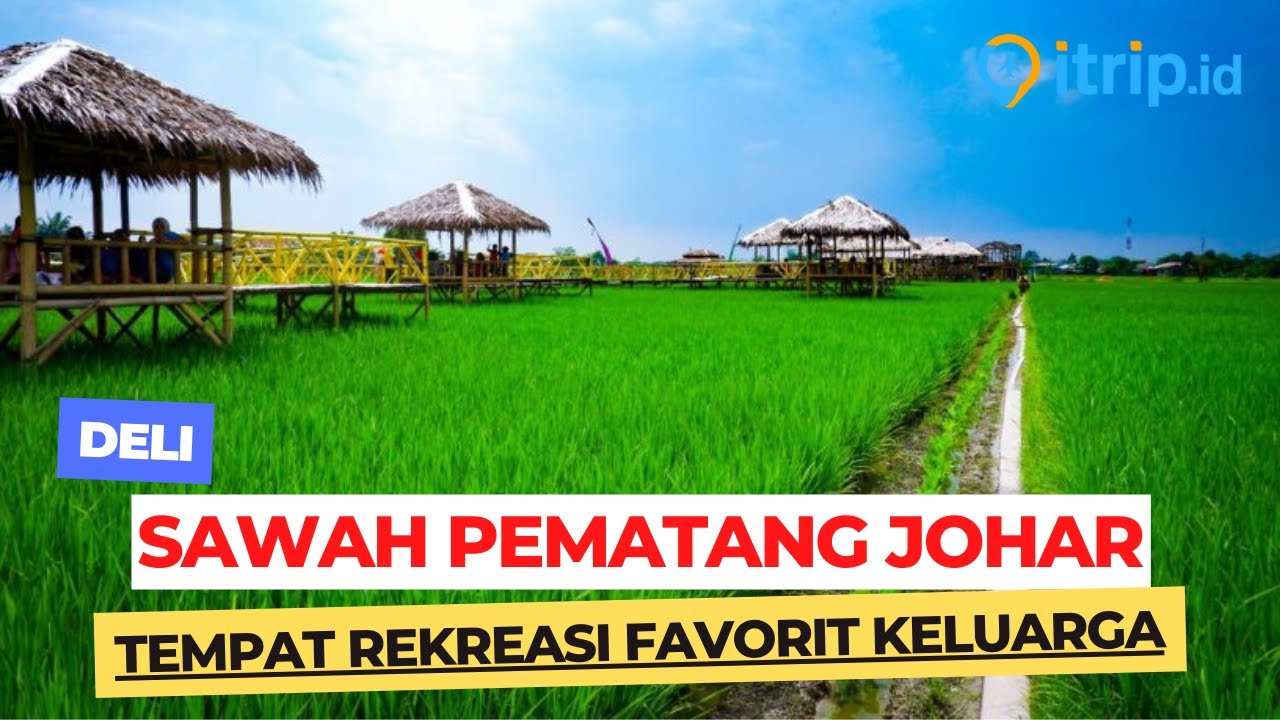 Kampung Wisata Sawah Pematang Johar | Tempat Rekreasi Favorit Keluarga di Deli Serdang