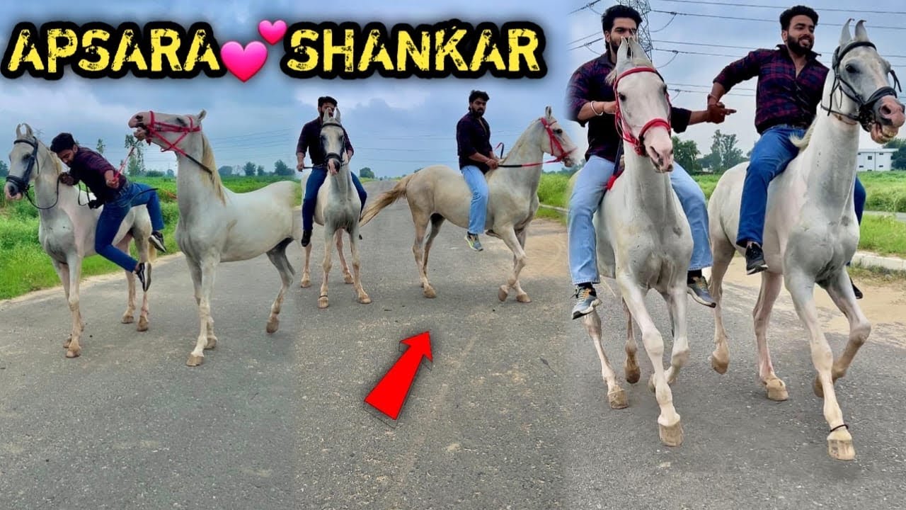🔥&HANKAR 0R AP$ARA K! D0STI KRA D! ☺️AP$ARA K! FULL SPEED 😰