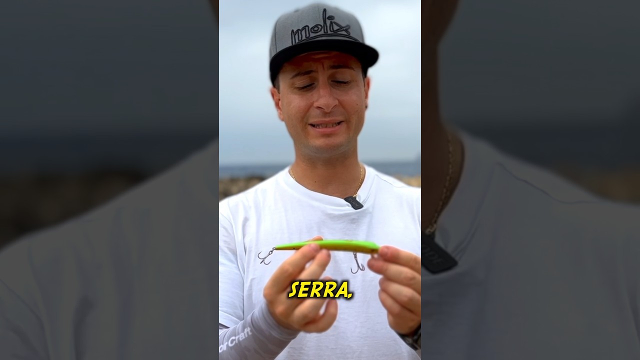 FAI COSI per catturare PIU PESCI a SPINNING #pesca #fishing #spinning