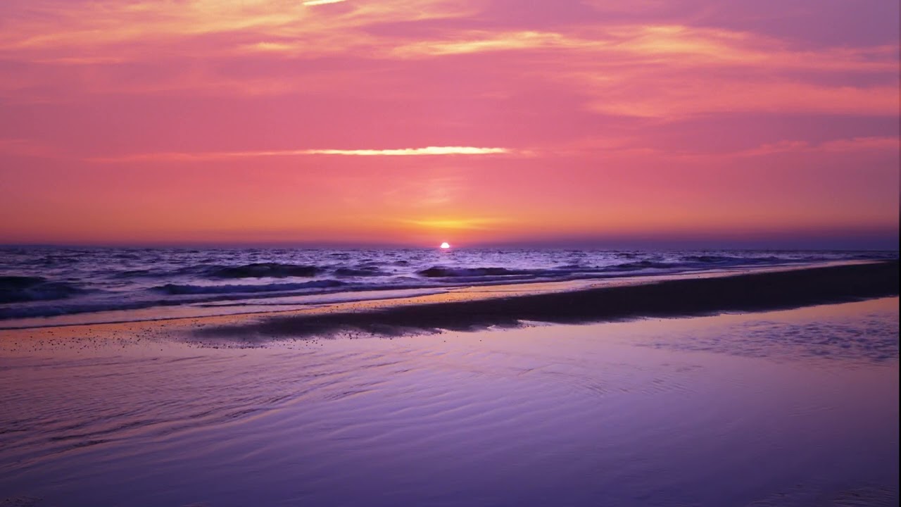 Tropical Sunshine - John Doe