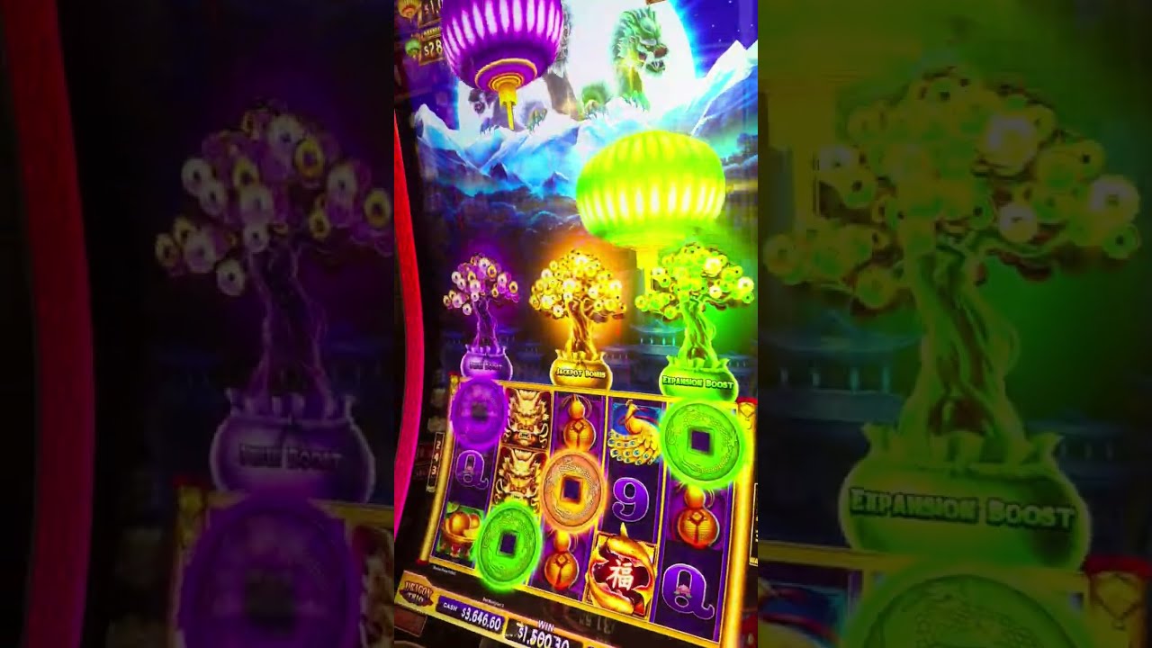 澳門新濠天地搖錢樹老虎機 中Jackpot！一鋪贏$1500實錄 | 刺激賭場體驗 🎰💰