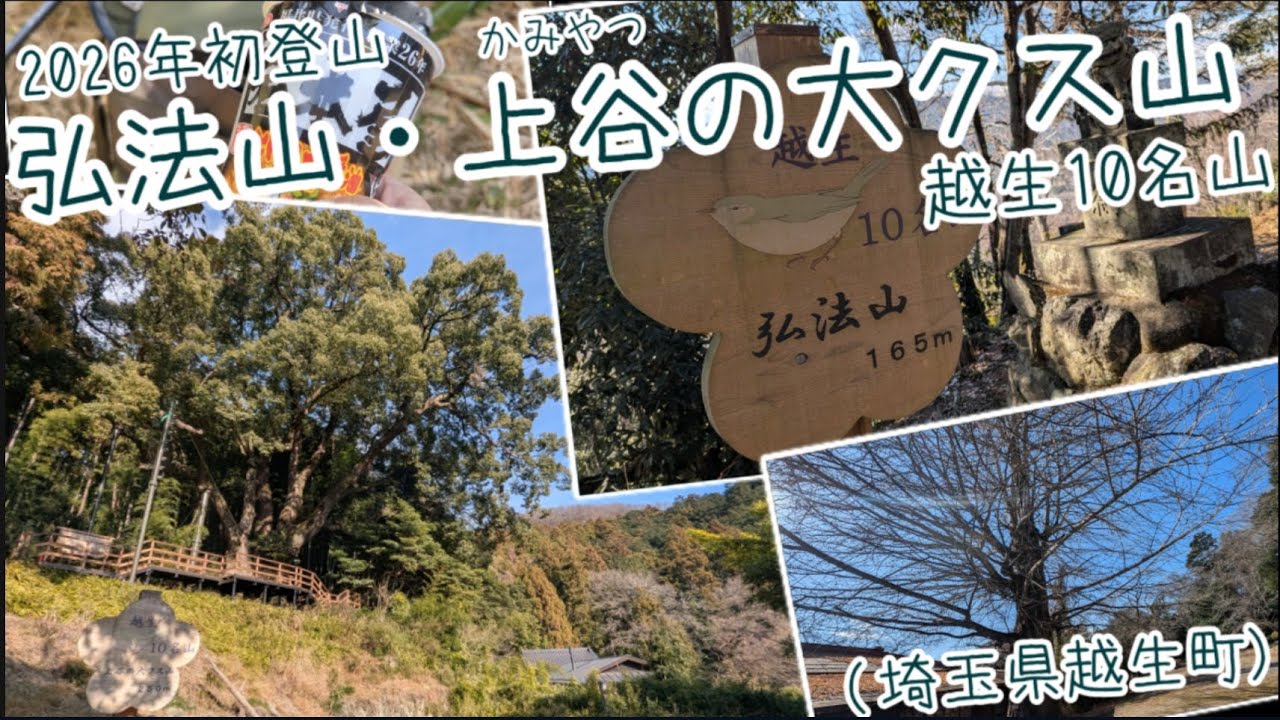 2026年初登山 弘法山・上谷(かみやつ)の大クス山 