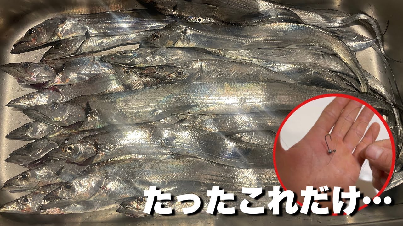 真冬でもタチウオが爆釣する新釣法を公開します。