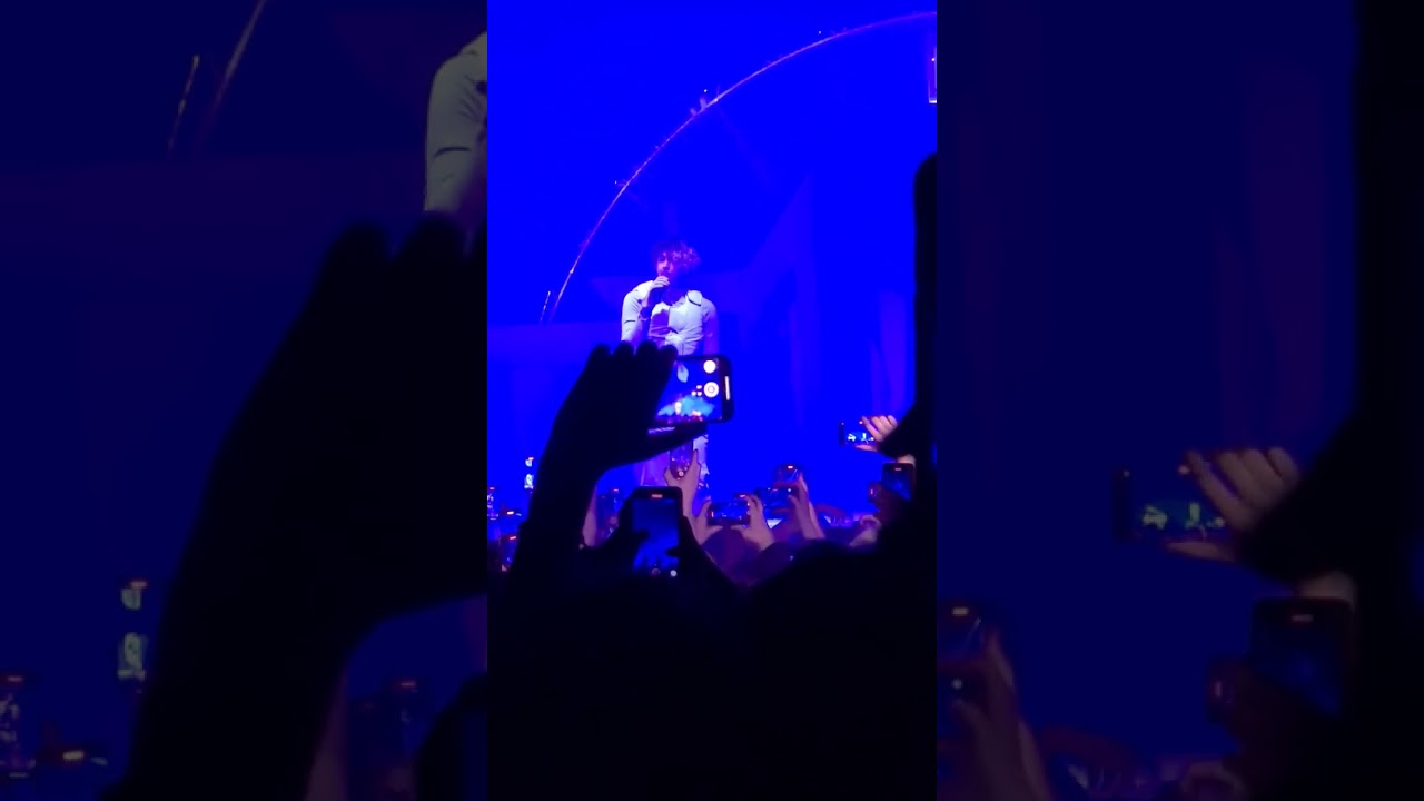 Khali - Entre Palmer et Paris Zoo (live L'Olympia)