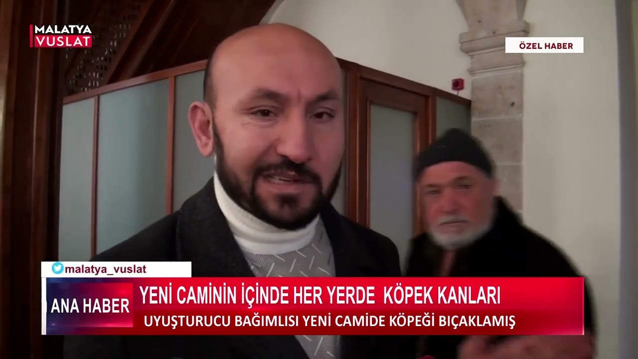 YENİ CAMİİNİN İÇİNDE HER YER KÖPEK KANI