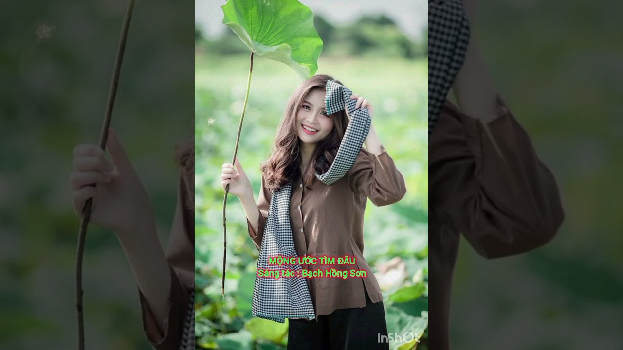 MỘNG ƯỚC TÌM ĐÂU ( Bạch Hồng Sơn )