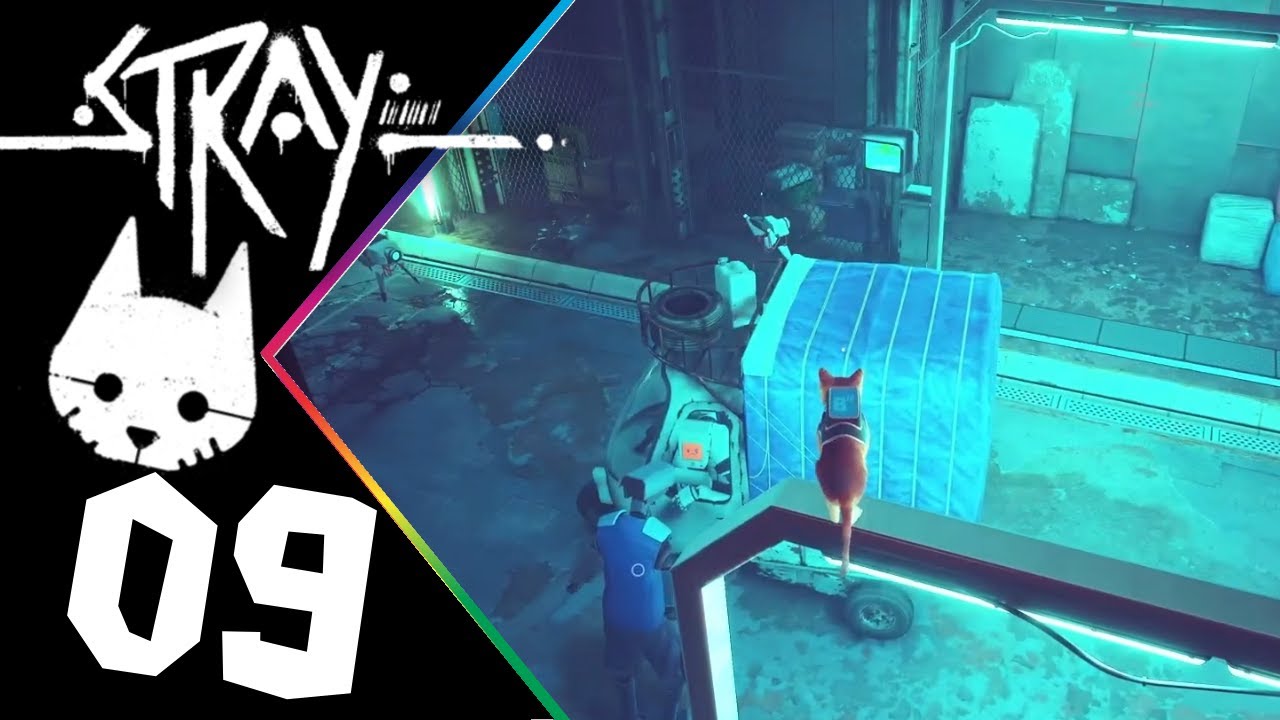 Ulica, piętro, numer drzwi... | Stray #09