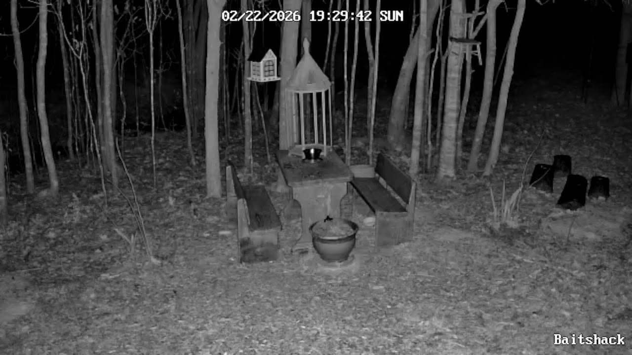 Wildlife View on Brylon Farms.  Thanks for watching!