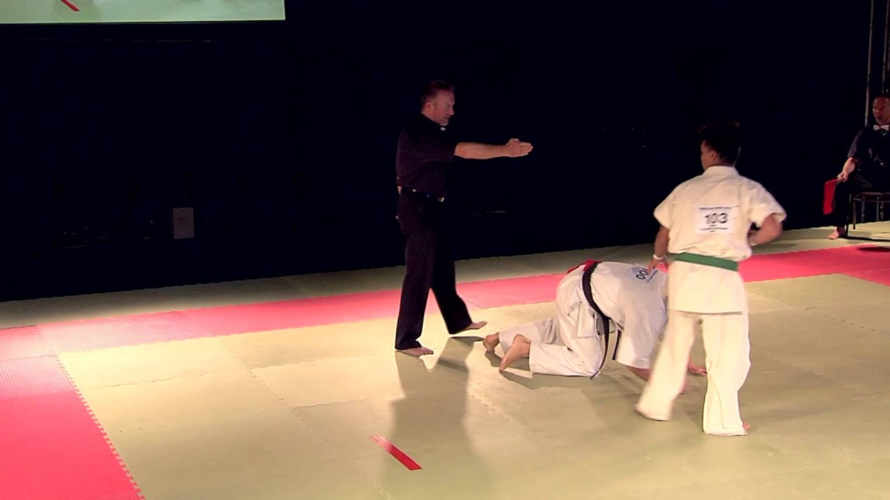 Tautvydas Sniaukas (Lithuania) vs Milad Ziyafatalla Samizade (Sweden)