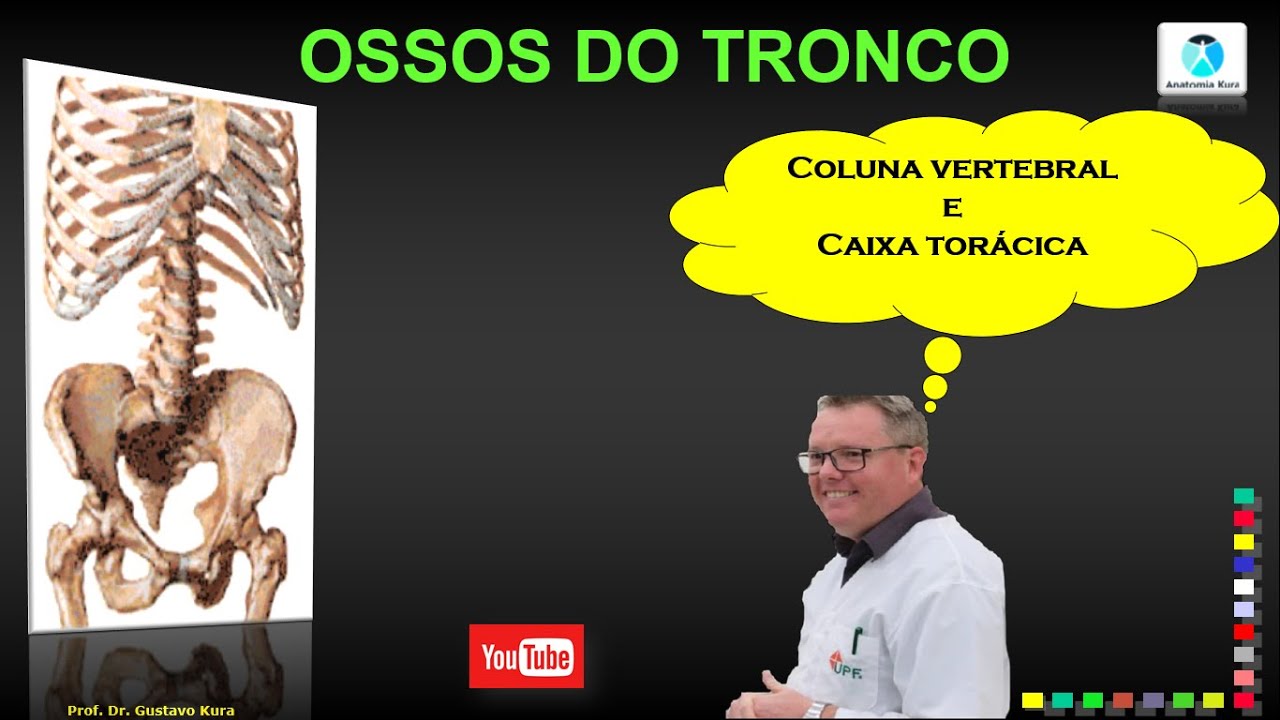 Ossos do tronco