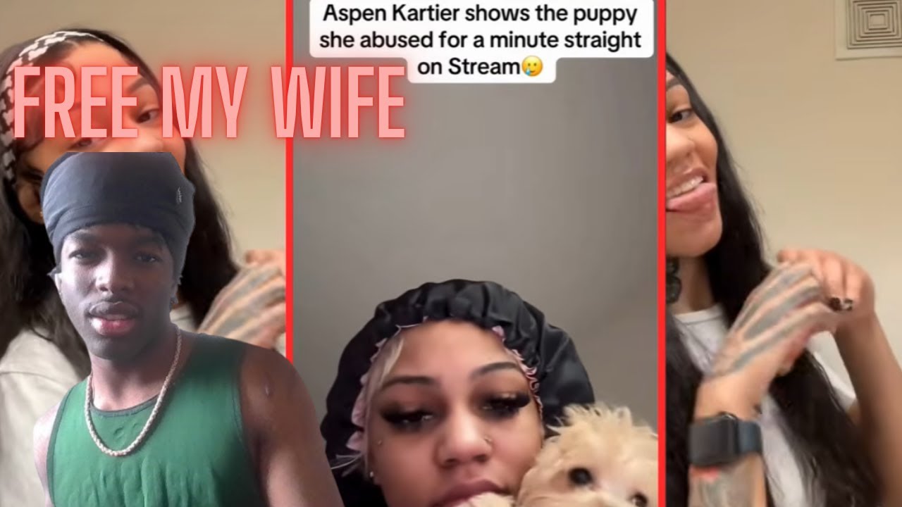 aspen beat tf out that dog